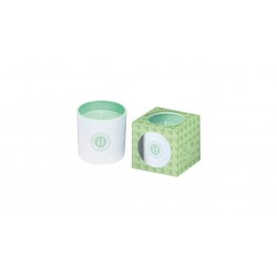Himalaya - Candele Pastello Pino & Menta 165 g - 23h