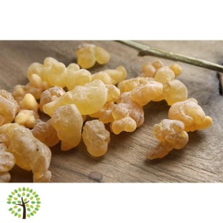 Bio Essenze - Gomma Incenso Lacrime (1kg)