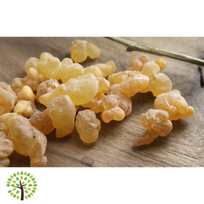 Bio Essenze - Gomma Incenso Lacrime (1kg)