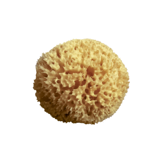 Mood - Spugna Arcipelago Grezza (12cm)