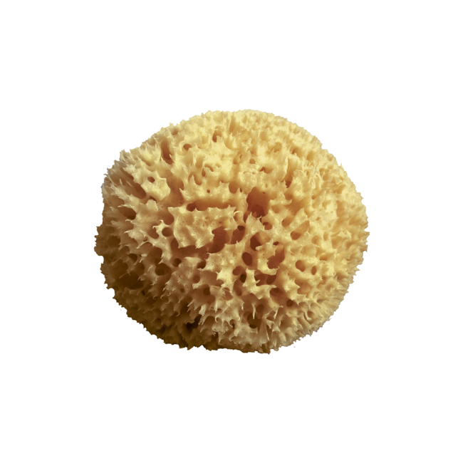 Mood - Spugna Arcipelago Grezza (10cm)