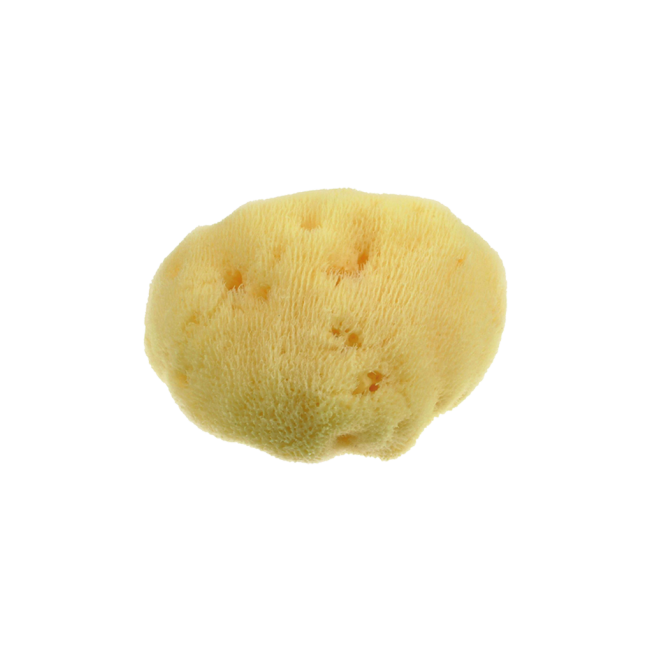 Mood - Spugna Fine Dama (7cm)